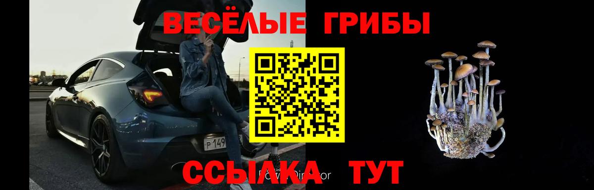 Псилоцибиновые грибы Psilocybine cubensis Малоярославец